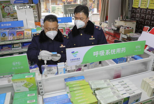 信息咨詢服務 在信息洪流中導航的專業指南